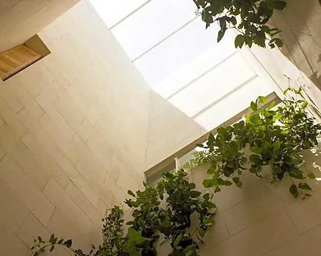 Circulo Mexicano, A Member Of Design